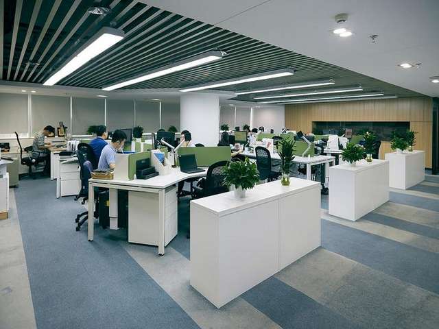 浦东新区运动学幼校庆典全过程